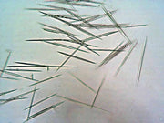 What Are Spicules? The 