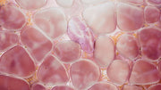 What Is Bloom Skin? The 2026 Korean Skincare Trend Replacing Glass Skin