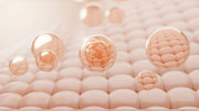 Exosomes in Skincare Korean 2026 Guide
